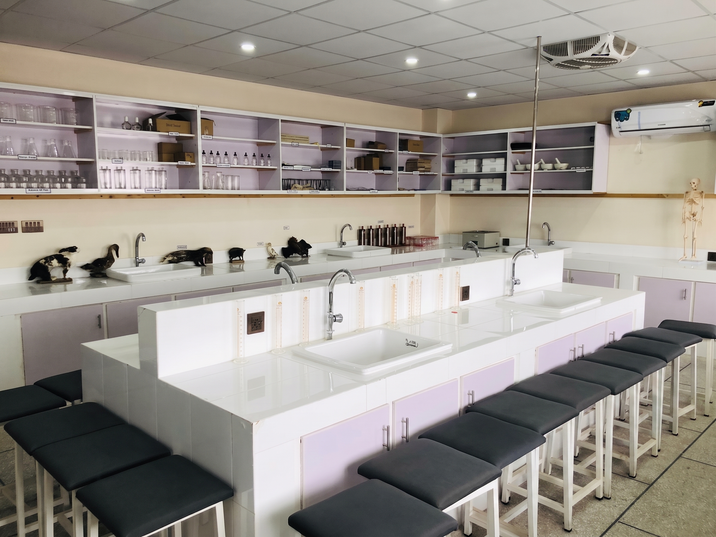 Modern Laboratories